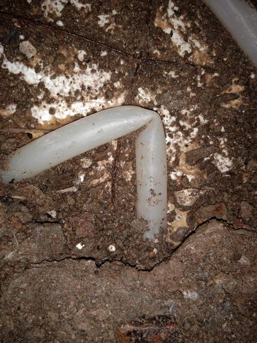 阳朔堵点精准查找